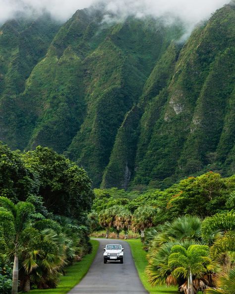 Oahu road trip via (@chelseakauai) Waimea Valley, Hawaii Landscape, Hawaii Photography, Hawaii Life, Diy Life, Oahu Hawaii, Hawaii Travel, Europe Destinations, Kauai