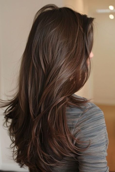 Chest Nut Brown Balayage, Brown Hair Chestnut Highlights, Brunette Hair Color Dark, Glazed Brown Hair, Chest Nut Brown Hair, Chocolate Brown Hair Medium Length, Brown Balayage For Black Hair, Almond Brown Hair, Brown Glossy Hair