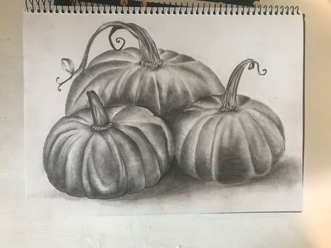 Realistic Pumpkin Drawing, Pumpkin Paintings, Fall Drawings, Pumpkin Drawing, Color Pencil Sketch, Middle School Art Projects, Scene Drawing, How To Shade, Pencil Shading