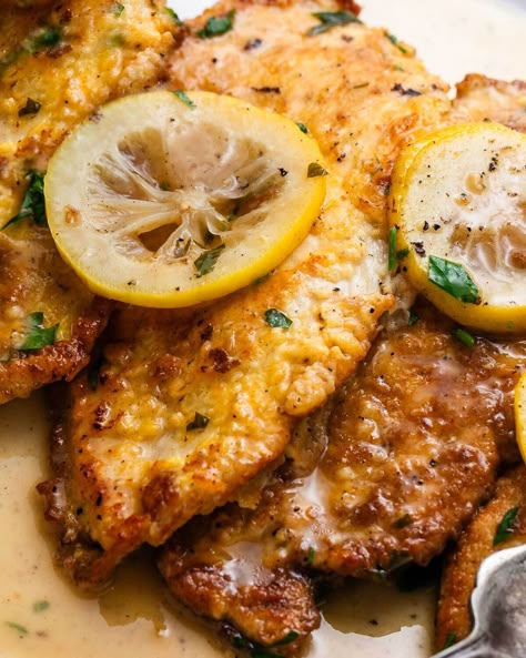 This classic Chicken Francese combines thinly sliced cutlets that are gently fried and simmered in a buttery white wine and lemon sauce and finished with fresh parsley. A must for the lemon lover in your life! #chickenfrancese #chicken #italianfood White Wine Lemon Butter Sauce, Egg Wash Recipe, Sliced Chicken Breast Recipes, Chicken Francaise Recipe, Fried Chicken Cutlets, Chicken Francese, Chicken Cutlet Recipes, Italian Chicken Recipes, Lemon Butter Sauce