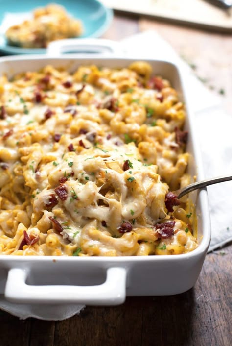 Chicken Bacon Pumpkin Pasta Bake! Caramelized onions make for a rich and velvety pumpkin sauce to blanket that shredded chicken with love. #pasta #dinner #recipe #yum | pinchofyum.com Fall Chicken Recipes, Pumpkin Pasta Bake, Bacon Pasta Bake, Yummy Casserole Recipes, Pumpkin Pancake Recipe, Pumpkin Sauce, Pumpkin Pasta, Baked Bacon, Paleo Food