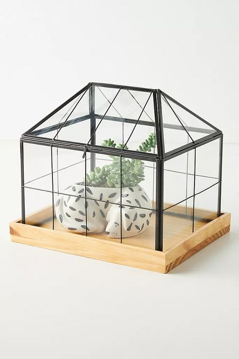 Mini Greenhouse Terrarium | Anthropologie Greenhouse Terrarium, Indoor Garden Apartment, Aquaponics Greenhouse, Conservatory Greenhouse, Aquaponics Fish, Aquaponics Diy, Mini Terrarium, Garden Tiles, Greenhouse Effect