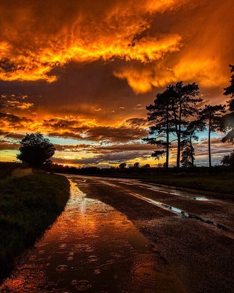 Sunset Realistic Photo, Rainy Landscape, Rain Sunset, Rain Puddle, Rainy Sunset, Artist Pictures, Sky Rain, Rainy Sky, Rain Aesthetic