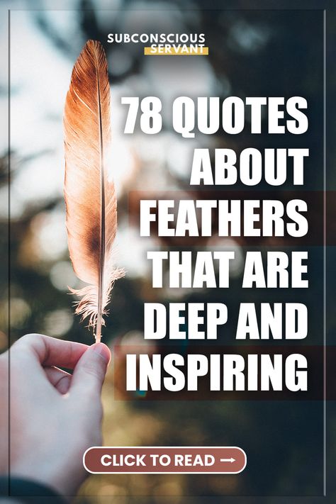 Feather Sayings Quote, Feather Quotes Inspiration, Feather Quotes Short, Quotes About Feathers, Angel Feathers Quotes, Feathers Quotes, Feather Pictures, Feather Quote, Feather Quotes