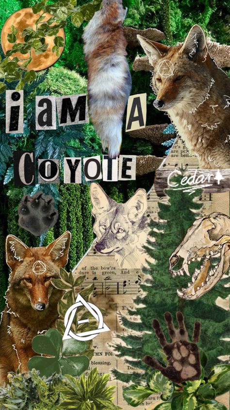 Made by me! Please dont repost but feel free to use as a wallpaper etc. #therian #alterhuman #theriotype #coyote #coyotetherian Coyote Therian, Fox Tail Keychain, Maybe In Another Life, Wolf Wallpaper, A N Wallpaper, Paws And Claws, A Wallpaper, In Another Life, Red Fox