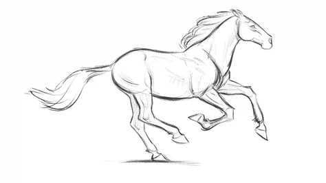 Aaron Blaise, Horse Animation, Arte Nerd, Rasy Koni, Horse Sketch, Anime Karakterek, Running Horse, Animation Sketches, Horse Drawing