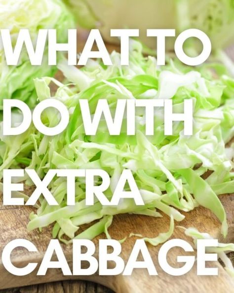 Different Ways To Make Cabbage, What To Make With A Head Of Cabbage, Cabbage Ideas Healthy, Ideas For Cabbage, Half Cabbage Recipe, What To Do With Extra Cabbage, Cabbage Recipe Freezer, What Can You Make With Cabbage, Recipes With Chopped Cabbage