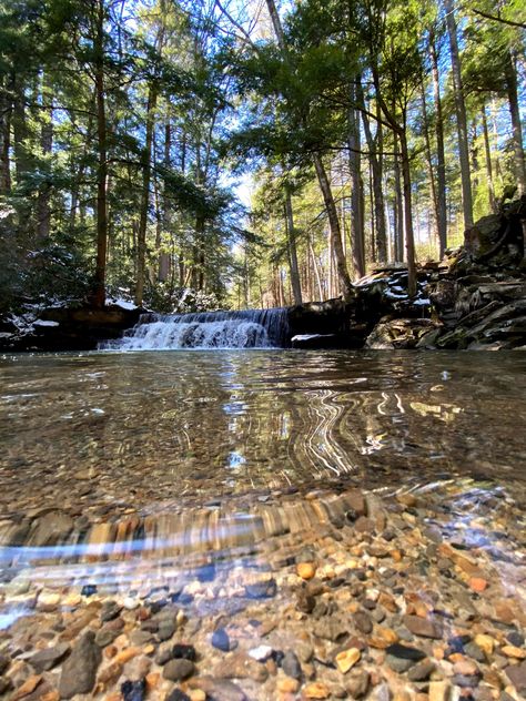 Tolliver Falls in Swallow Falls State Park - photo is Tolliver Falls short waterfall in the middle of a shallow pool. Summer Feeling, Nature Lover, Natural Beauty, State Parks, Places To See, Nature Photography, Forest, Beautiful Places, Places To Visit