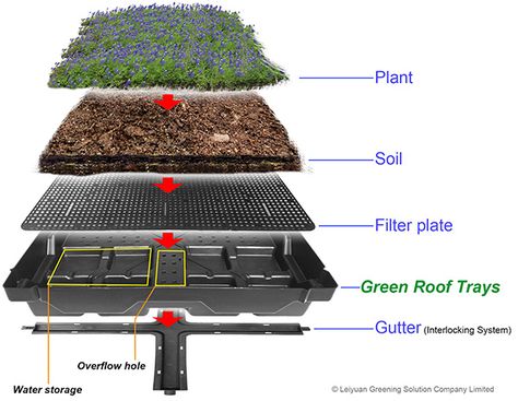 Green Roofs- what is the working principle of Green Roof Trays? Green Roof Planting, Roof Plants, Green Roof Design, Green Roof Garden, Green Roof House, Green Roof System, Grass Roof, Roof Garden Design, Detail Arsitektur