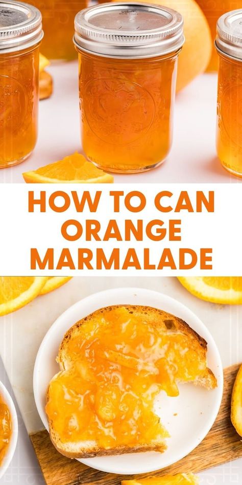 Make and can your own orange marmalade with this easy recipe. Enjoy the sweet and tangy flavors of homemade marmalade all year long. Meal Jars, Orange Marmalade Recipe, Lemon Marmalade, Marmalade Recipe, Canned Foods, Jam Recipes Homemade, Canning Recipe, Canning Jam, Orange Marmalade