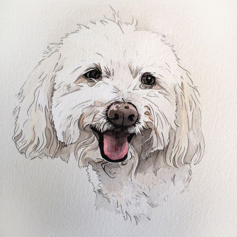 Custom Dog Portrait, Poodle Terrier Mix Breed Bichon Frise Art, Tatoo Dog, Dog Watercolor Painting, Portraits Pop Art, Watercolor Dog Portrait, Desen Realist, Dog Sketch, Pets Drawing, 강아지 그림