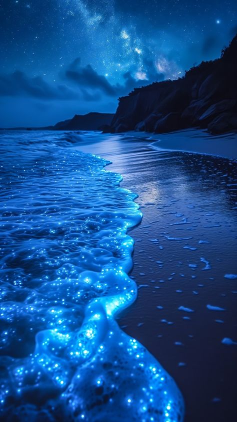 Bioluminescence Beach Wallpaper, Bioluminescence Beach Aesthetic, Blue Aesthetic Sea, Bioluminescent Ocean, Blue Sea Aesthetic, Image Bleu, Rasy Koni, Im Blue, Beautiful Ocean Pictures