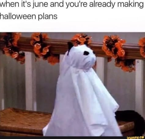 35 Funny Halloween Memes - Best Halloween Joke Images Best Halloween Jokes, Funny Halloween Memes, Halloween Meme, Funny Halloween Jokes, Spooky Memes, Halloween Jokes, Halloween Memes, Jokes Images, Pretty Pumpkins