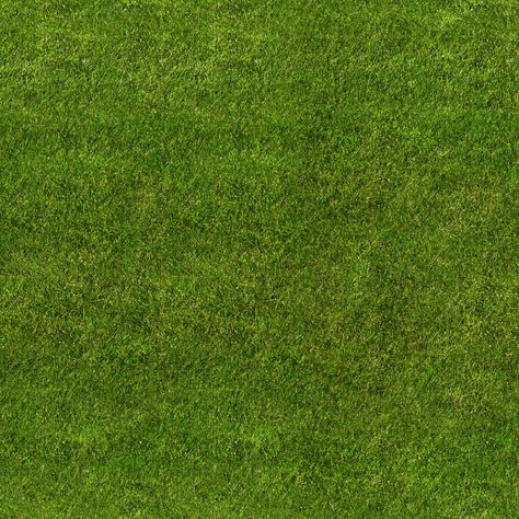 Grass seamless texture Grass Texture Seamless, Grass Photoshop, Photoshop Landscape, Grass Texture, Photoshop Rendering, Grass Wallpaper, Grass Pattern, Floor Texture, Texture Seamless