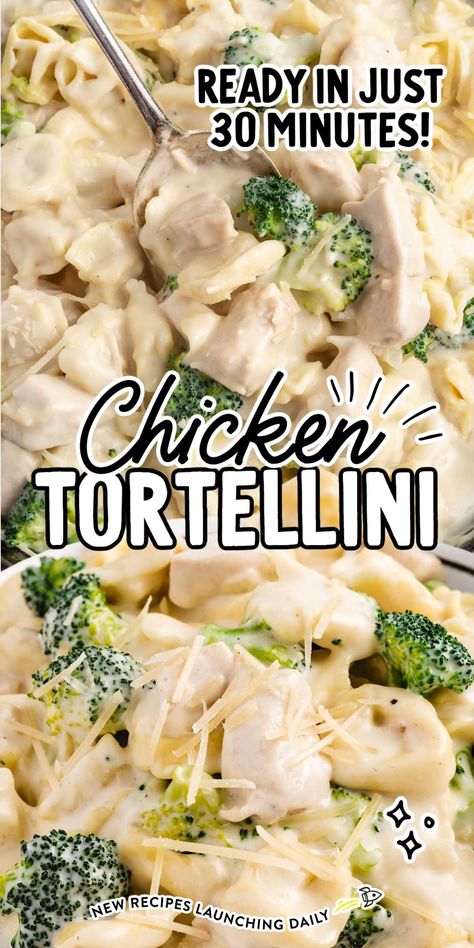 Our chicken tortellini is tossed in a rich and creamy sauce and mixed with fresh broccoli for an easy and delicious weeknight meal. Chicken And Shrimp Carbonara, Creamy Chicken Tortellini, Cheese Tortellini Recipes, Delicious Entrees, Tortellini Alfredo, Cheesy Pasta Recipes, Quick Delicious Dinner, Spinach Tortellini, Tortellini Bake