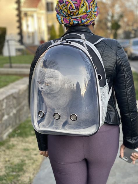 Bubble Window, Pig Ideas, Pet Carrier Backpack, Cat Backpack Carrier, Small Puppy, Pet Backpack Carrier, Space Capsule, Pet Backpack, Dog Backpack