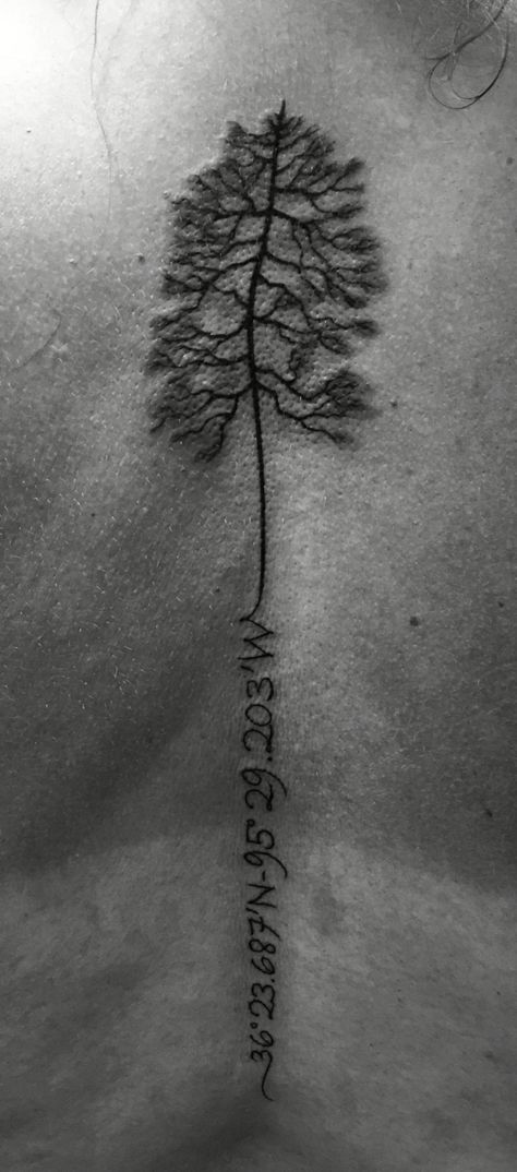 Tattoo with coordinates Tree symbolizes where we met and the coordinates lead me back to him. Where There's A Will There's A Way Tattoo, Coordinates Spine Tattoo, Spine Coordinates Tattoo, Spine Tattoo Coordinates, Key West Coordinates Tattoo, Gps Coordinates Tattoo Ideas, Gps Coordinates Tattoo, Tree Initials, Florida Tattoo