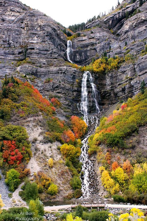 Bridal Veil Falls Utah, Scenery Beach, Phuket Island, Waterfall Pictures, Bridal Veil Falls, Water Pictures, Fairy Queen, Adventure Vacation, Autumn Scenes