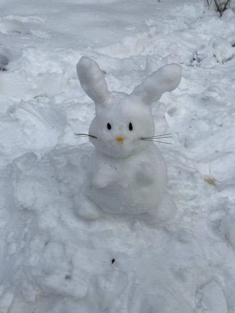 #snowman #snow #winter #bunny #rabbit #cute Bunnies In Snow, Snow Bunny Aesthetic, Bunny In Snow, Winter Widgets, Bunny Desserts, Snow Rabbit, Bunny Meme, Winter Bunny, Winter Rabbit