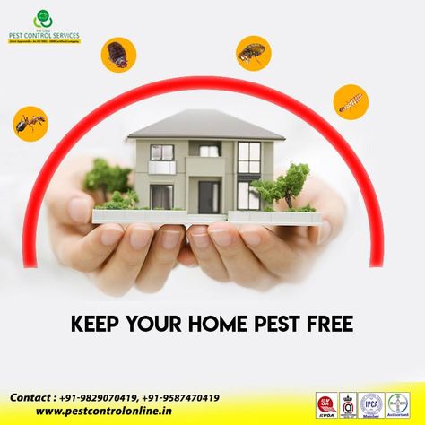 Pest Control Services Poster, Pest Control Ads, Fumigation Services, Andaman Nicobar, Cockroach Control, Pinterest Download, Household Pests, Best Pest Control, Mosquito Control