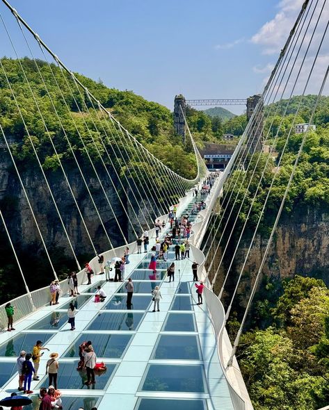 Crossing breathtaking heights at Zhangjiajie Glass Bridge – where every step is an adrenaline rush! This architectural marvel is renowned as the world’s longest and highest glass-bottomed bridge. Suspended 300 meters (984 feet) above the canyon, spanning 430 meters (1410 feet) in length, this iconic bridge offers jaw-dropping views of China’s natural beauty. ⛰️ Glass Bridge, Zhangjiajie, Adrenaline Rush, Glass Floor, Xiamen, Rush, Natural Beauty, Bridge, Marvel