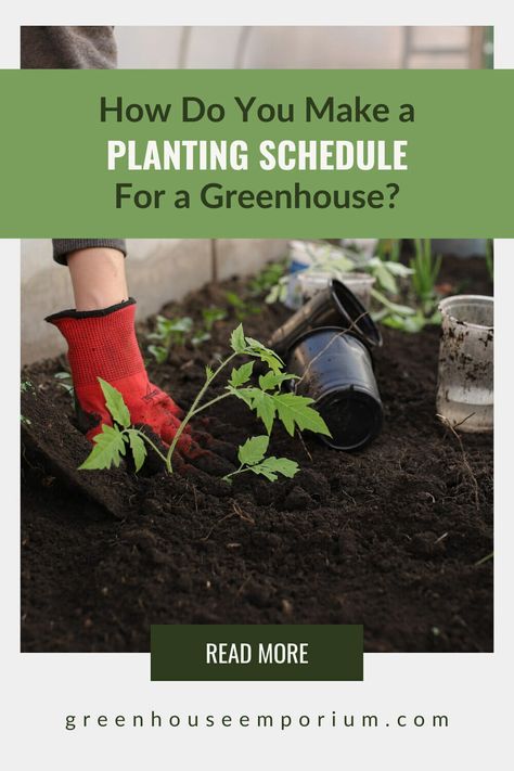 Do you know the benefits of making a planting schedule for your greenhouse? Every month, even in winter, can be an active growing season in your greenhouse. You can create tasks for each month to make sure you have herbs, fruits and vegetables ready for harvest each month. You can also schedule time to take care of your greenhouse cleaning and repairs tasks. Read on to learn more about how to make a greenhouse planting schedule! Greenhouse Planting Schedule, Greenhouse Emporium, Garden Watering Schedule, Make A Greenhouse, Greenhouse Tips, Greenhouse Planting, Planting Schedule, Above Ground Garden, Growing Onions