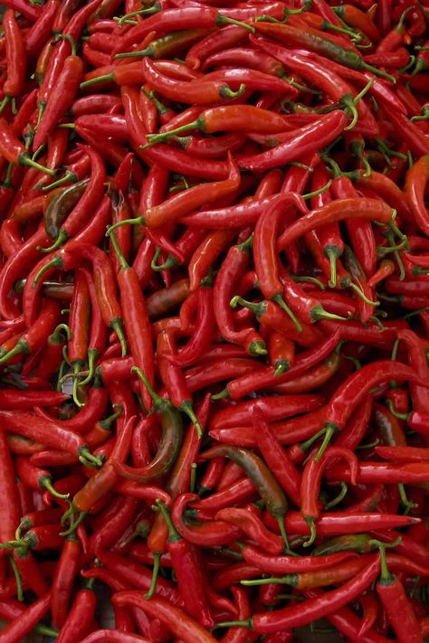 Thai peppers are spicy chili peppers with a wide range of heat, and despite common belief, there is no single type of Thai pepper, with at least 79 separate varieties. Scoville Heat Units: 50,000 - 100,000 SHU Capsicum Annuum Despite what is commonly believed, there is no single 'Thai pepper' though most peppers referred to as Thai are small in size and high in heat or pungency. There are at least 79 separate varieties of the pepper that have appeared from three species in Thailand. As with many Thai Peppers, Thai Chili Pepper, Backyard Garden Ideas, Types Of Peppers, Capsicum Annuum, Red Chili Peppers, Hot Pepper Sauce, Chile Pepper, Hottest Chili Pepper