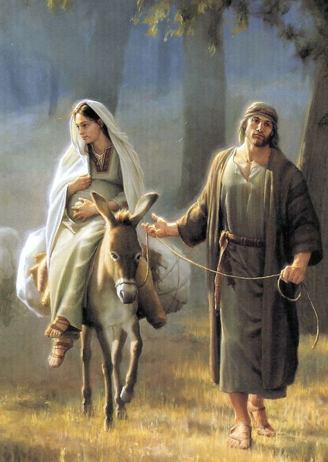 On The Road To Bethlehem Religious Pictures, The Holy Family, A Donkey, Biblical Art, Portrait Photos, Belem, Birth Of Jesus, Blessed Virgin Mary, Holy Family