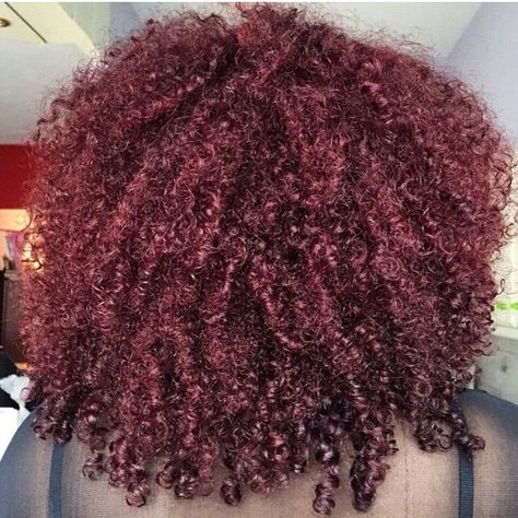 Wanna do this color! Maroon Natural Hair, Natural Burgundy Hair Black Women, Plum Natural Hair Black Women, Burgundy Hair Natural Black Women, Dark Red Natural Hair, Red Hair Black Women, Burgundy Natural Hair, Burgundy Curly Hair, Long Natural Curls