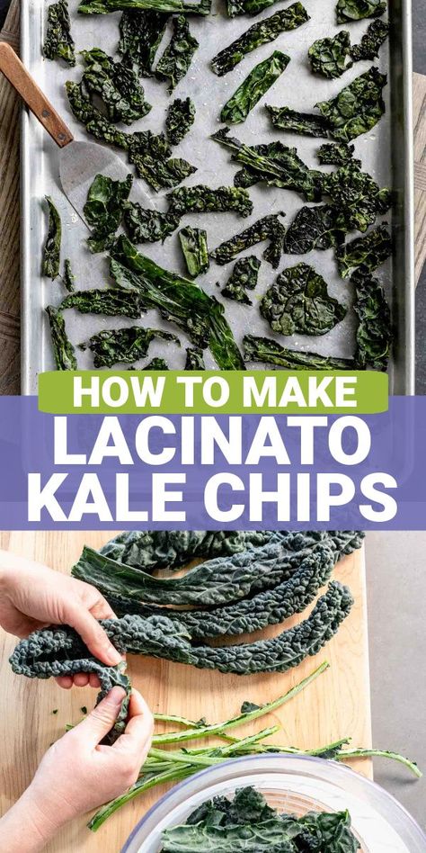 If you are looking for a way to use lacinato kale, also known as dinosaur kale or Tuscan kale, then I have a great recipe to share with you today! This easy baked Kale Chip recipe is made with only a few ingredients and takes very little prep time to make! It makes a great crunchy and healthy snack for kids and adults alike! Dinosaur Kale Chips, Tuscan Kale Recipe, Dinosaur Kale Recipes, Lacinato Kale Recipe, Cooked Kale Recipes, Types Of Kale, Kale Chip, Kale Chips Recipe, Healthy Snack For Kids