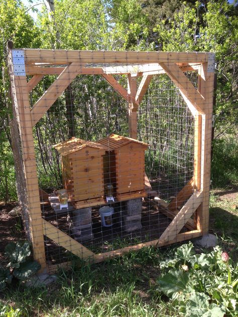 Show a pic of your setup - Beekeeping - Basics - Flow Forum Bee Hive Setup, Building A Beehive, Best Flowers For Bees, Backyard Bees, Honey Bee Farming, Backyard Bee, Backyard Beekeeping, Homestead Farm, Bee Hives