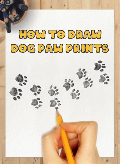 Drawing Paw Prints, Dog Journaling Ideas, How To Draw Paw Prints Dogs, How To Paint Paw Prints, How To Draw Paw Prints, Dog Paw Doodle, How To Draw Dog Paws, How To Draw A Paw Print, Dog Paw Print Drawing