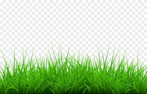 Cartoon Grass, Grass Png, Grass Vector, Green Grass Background, Grass Background, Photoshop Backgrounds Free, Green Screen Background Images, New Photo Style, Grasses Landscaping