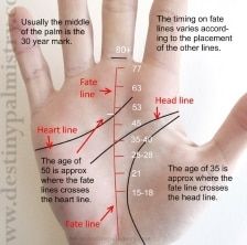 Clairvoyant Quotes, Life Line On Hand, Palm Reading Charts, Hand Reading, Foot Detox Soak, Palmistry Reading, Palmistry Hand, Talk To The Hand, Palm Reader