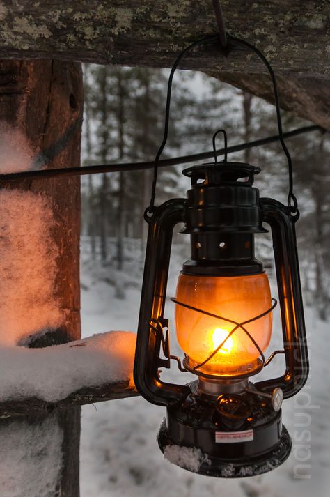 light lantern https://www.etsy.com/shop/MikeMBurkeDesigns?ref=l2-shopheader-name Cozy Pics, Old Lanterns, Image Halloween, Vintage Lanterns, Lantern Lamp, Rustic Lamps, 수채화 그림, Winter Scenery, Candle Light