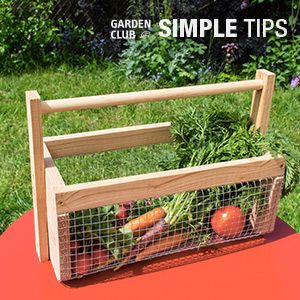 Home Depot Garden Club:  DIY Garden Tote Garden Trug, Diy Lawn, Harvest Basket, Garden Basket, Diy Art Projects, Outdoor Diy, Diy Renovation, Garden Club, Cub Scouts