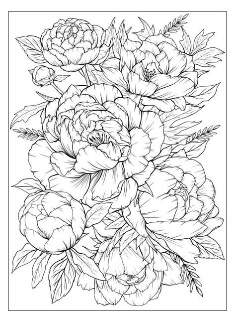 Flower Colouring, Peony Drawing, صفحات التلوين, Flower Art Drawing, Colouring Page, Flower Sketches, Floral Drawing, Leaves Vector, 수채화 그림