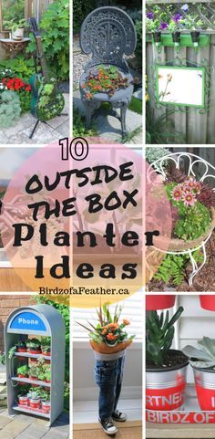 Unique Garden Containers, Unusual Planters Ideas Upcycling, Unique Planter Ideas Outdoor, Flower Pot Ideas Indoor, Unusual Pots For Plants, Planter Box Ideas Outdoor, Unique Planters Outdoor, Outdoor Planter Box Ideas, Vintage Planter Ideas