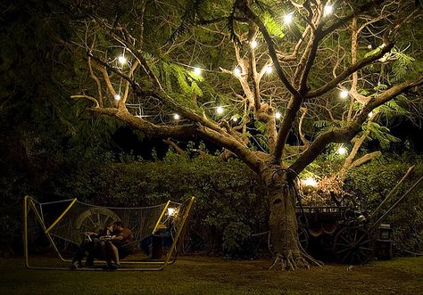 Magical Tree Backyard Hammock, Magical Tree, Romantic Evening, Tree Lighting, Two People, Garden Lighting, Love And Light, Fairy Lights, A Tree