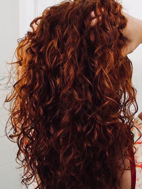 Dark Ginger Hair, Dark Ginger, French Twists, Red Curly Hair, Hair Color Auburn, Grow Long Hair, Hair Routine, Auburn Hair, Red Hair Color