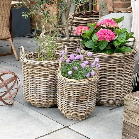 Wicker Dog Bed, Country Boutique, Cushions And Throws, Wicker Trunk, Rock Garden Design, Wicker Planter, Garden Basket, Blinds Curtains, Gravel Garden