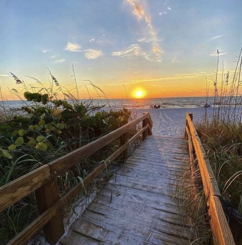 Cape Cod Aesthetic, Cape Cod Summer, New England Aesthetic, England Beaches, Stone Harbor, Pensacola Beach, Tropical Beach, Beach Sunset, Beach Photography