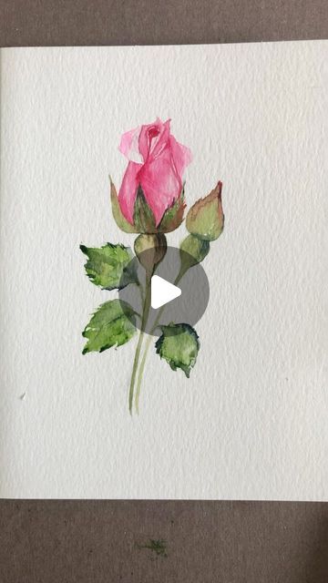 Acquarelli Ideas, Watercolors Ideas, Flowers For Valentines, Watercolour Drawings, Bird Paintings On Canvas, Watercolor Hummingbird, Learn Watercolor Painting, Let's Make Art, Rose Watercolor