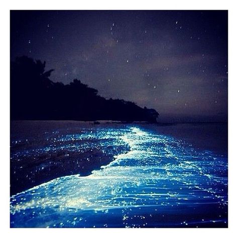 phosphorescence in the ocean | phosphorescent sea Costa Rica Bioluminescent, Sea Of Stars, Plane Ticket, Salalah, Pamukkale, Travelling Tips, Caribbean Blue, Destination Voyage, Sendai