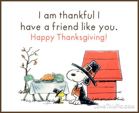 Thanksgiving Quotes For Friends, Snoopy Thanksgiving, Love Is A Journey, Quotes Thanksgiving, Happy Thanksgiving Friends, Peanuts Thanksgiving, Happy Thanksgiving Images, Charlie Brown Thanksgiving, Thanksgiving Happy