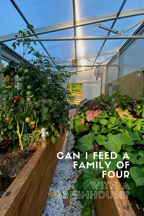 Yes. The more difficult question lies in the specifics. How big does my greenhouse need to be? What do I plant? What growing method do I use? How do I design the space? What kind of greenhouse will I need? These are the questions you need to consider if you and your family are trying to be more self-sufficient. So let’s address each one. Greenhouse Container Gardening, Greenhouse Veggie Garden, Green House Veggie Garden, Greenhouse 101, Greenhouse Planting Layout, Greenhouse Tips, Planting Layout, Gardening Hobby, Starter Garden