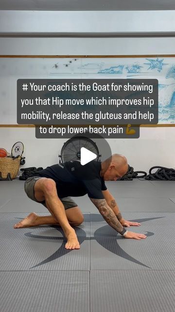 Joints In The Body, Best Exercise For Hips, Holistic Coach, Hip Mobility Exercises, Hip Strengthening Exercises, Hip Flexor Exercises, Lower Back Pain Exercises, Body Joints, Hip Flexors