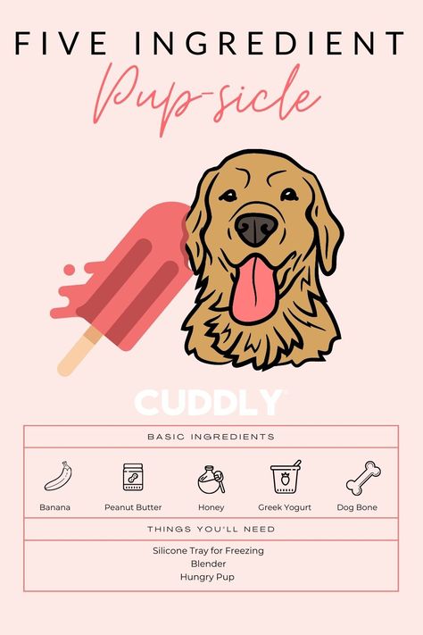 Things To Do With Your Dog, Healthy Dog Treats Homemade, Puppy Mom, Dog Fun, Dog Days Of Summer, Dog Treats Homemade Recipes, Dog Enrichment, Dog Business, Dog Bakery