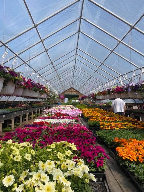 Greenhouse Flower Garden, Flower Farm Greenhouse, Garden Diy On A Budget, Greenhouse Farming, Cottage Garden Design, Market Garden, Veg Garden, Garden Nursery, Greenhouse Gardening