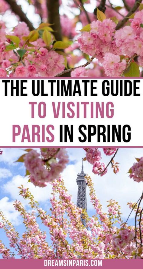 Spring Outfit In Europe, France In May Outfits, Paris Ootd Spring, Springtime In Paris Outfits, Photoshoot In Paris Outfit, Outfit For Paris Spring, Spring Outfit Paris, April Europe Outfit, Paris Vacation Outfit Spring